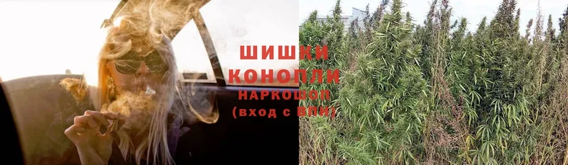 хочу   Демидов  Конопля OG Kush 